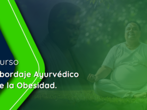 Captura de pantalla 2025-06-27 112219.png