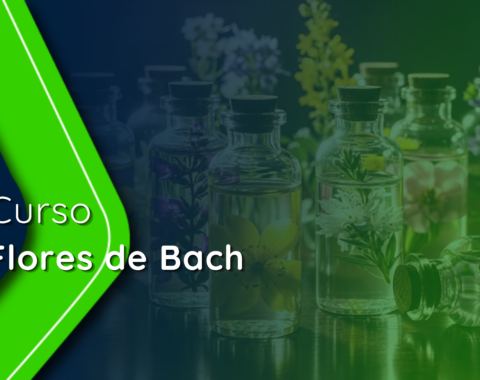 xperts (12).png xperts (12).png