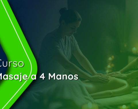 xperts (1).png xperts (1).png