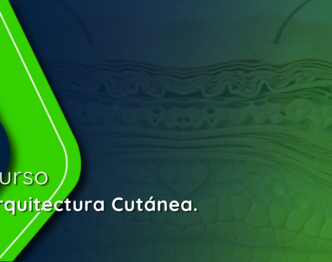 xperts (2).png xperts (2).png