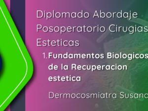 portadas xperts (1).png portadas xperts (1).png