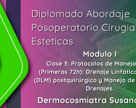 portadas xperts.png portadas xperts.png